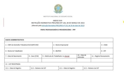 O que é PPP (Perfil Profissiográfico Previdenciário) e por que ele é tão importante?